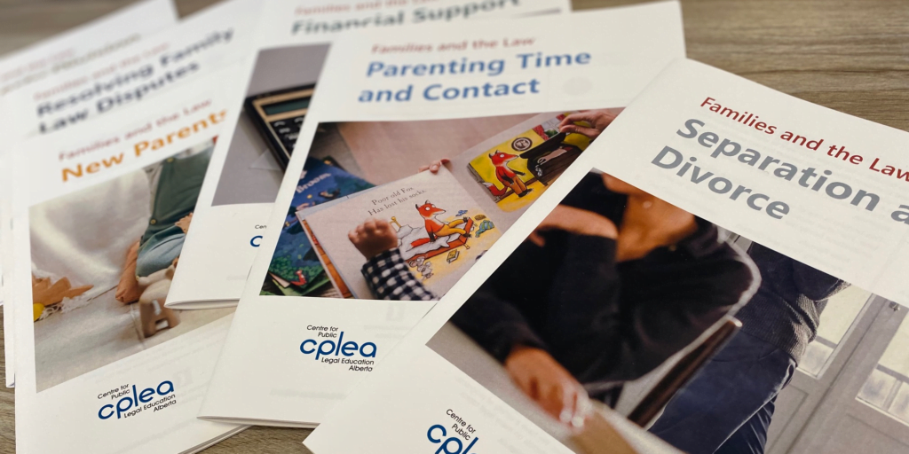 Close up of CPLEA's Families and the Law booklets